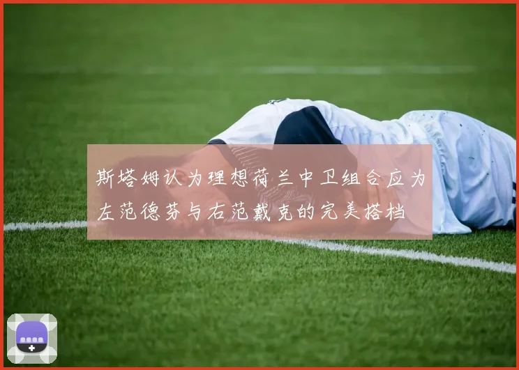 斯塔姆认为理想荷兰中卫组合应为左范德芬与右范戴克的完美搭档